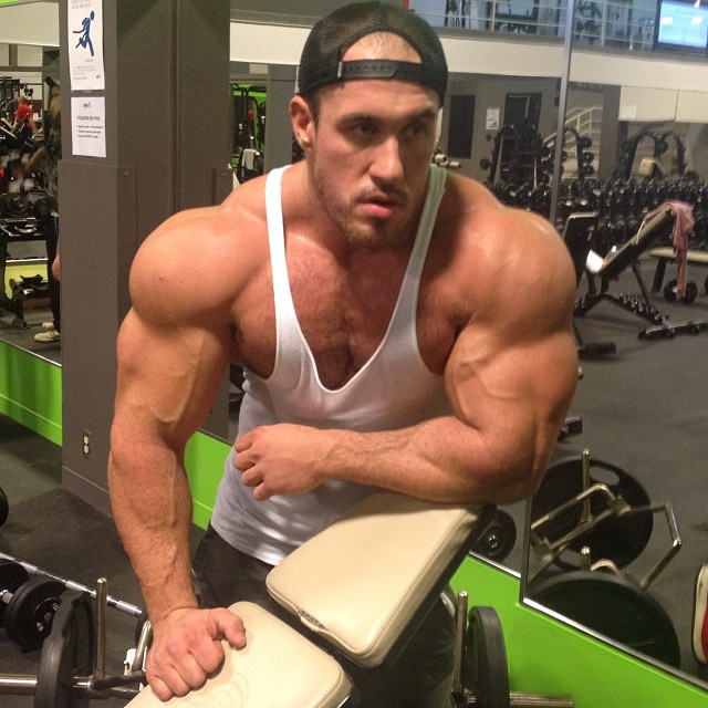 Alexander Steel Muscle